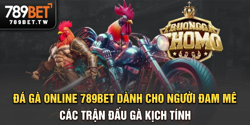 Đá gà trực tuyến Đá gà online 789bet dành cho người đam mê các trận đấu gà kịch tính