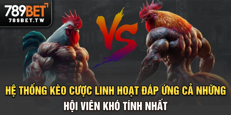 Đá gà trực tuyến Hệ thống kèo cược linh hoạt, đáp ứng cả những hội viên khó tính nhất